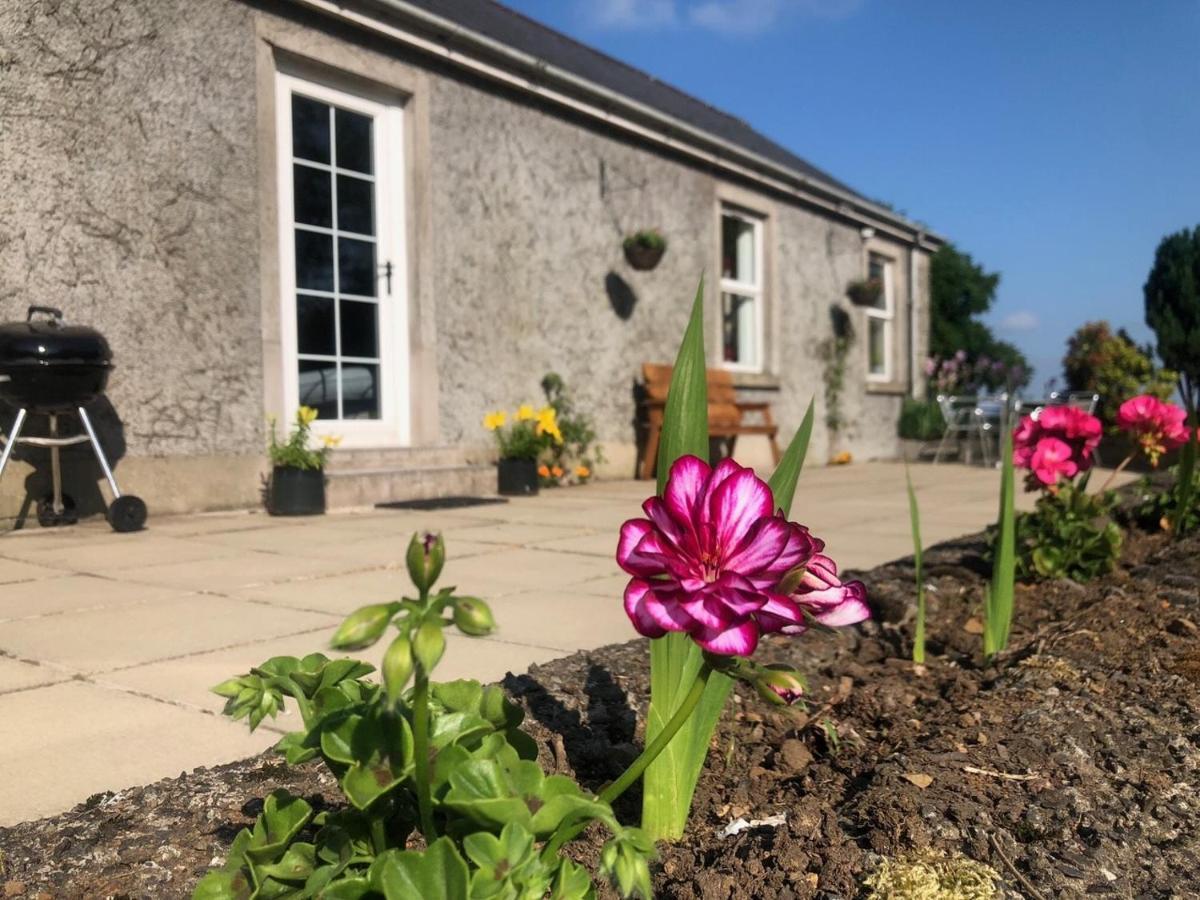 Ballyconnelly Cottages, Galgorm Area Cullybackey Exterior photo